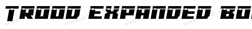 Trood Expanded BoldV字体转换